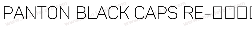 Panton Black Caps Re字体转换